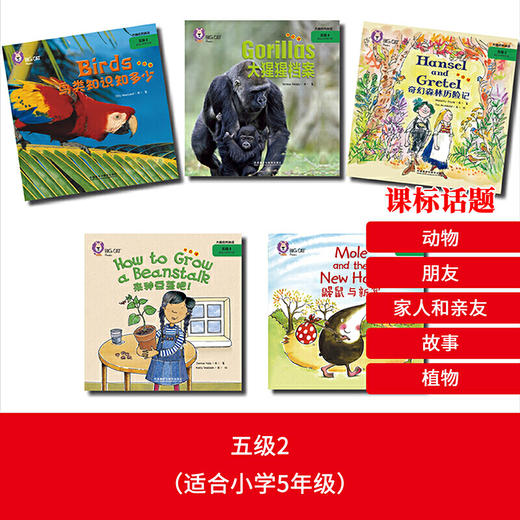 大猫自然拼读五级2 Big Cat Phonics(小学五年级） 商品图4