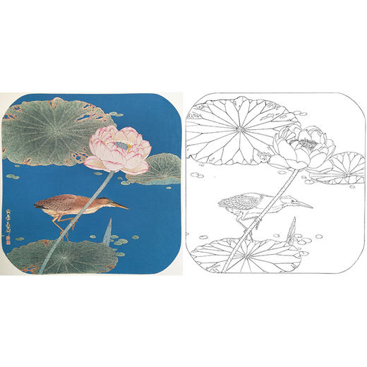 工笔画白描底稿 盘虎杰 花鸟小品 荷花 HJ15 商品图0