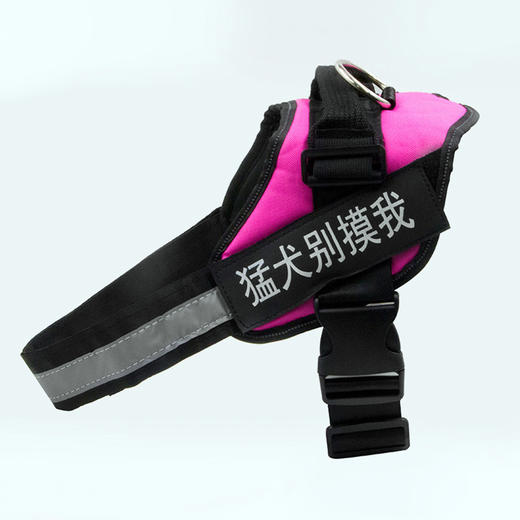 玲宠狗狗牵引绳小型犬泰迪遛狗绳中大型犬胸背带狗链宠物用品 商品图0