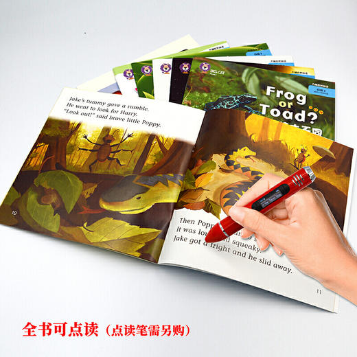 大猫自然拼读四级2 Big Cat Phonics (小学四年级） 商品图5