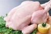 【尝鲜价】常州苏食冰鲜雪山草母鸡（0-4℃保鲜储存）1250g/只 商品缩略图0