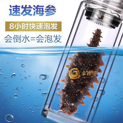 睿源堂大连速发干海参68g（30支） 商品图2