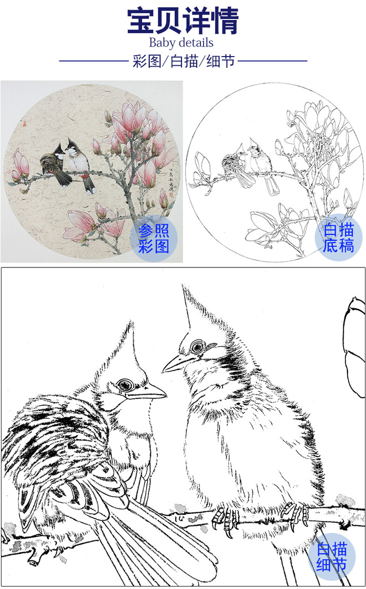 工笔画白描底稿盘虎杰圆形花鸟小品玉兰花hj02