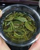 【茶馆茶叶】【北方佳人】非日晒严选鲜白茶 商品缩略图4