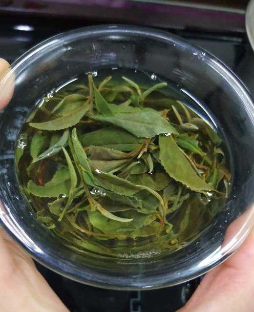 【茶馆茶叶】【北方佳人】非日晒严选鲜白茶 商品图4