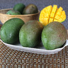 【四川·攀枝花】凯特芒果  果香浓郁 芒果plus 清甜润滑  皮薄饱满 金黄色果肉 细腻无渣 商品缩略图1