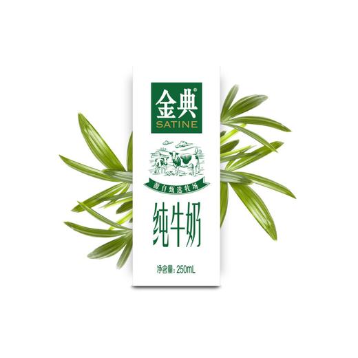 伊利金典纯牛奶12*250ML 商品图2