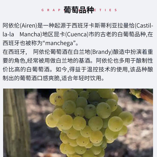 爱慕甜红起泡葡萄酒 西班牙原瓶 商品图6