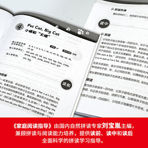 大猫自然拼读二级1 Big Cat Phonics (小学二年级 商品图6
