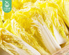 云南高山大娃娃菜（1.5kg±100g/份） 商品缩略图1