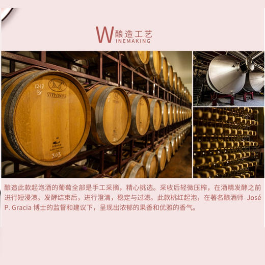 多乐姿桃红甜起泡葡萄酒 西班牙原瓶 商品图2