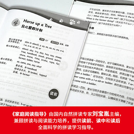 大猫自然拼读四级1 Big Cat Phonics (小学四年级） 商品图6