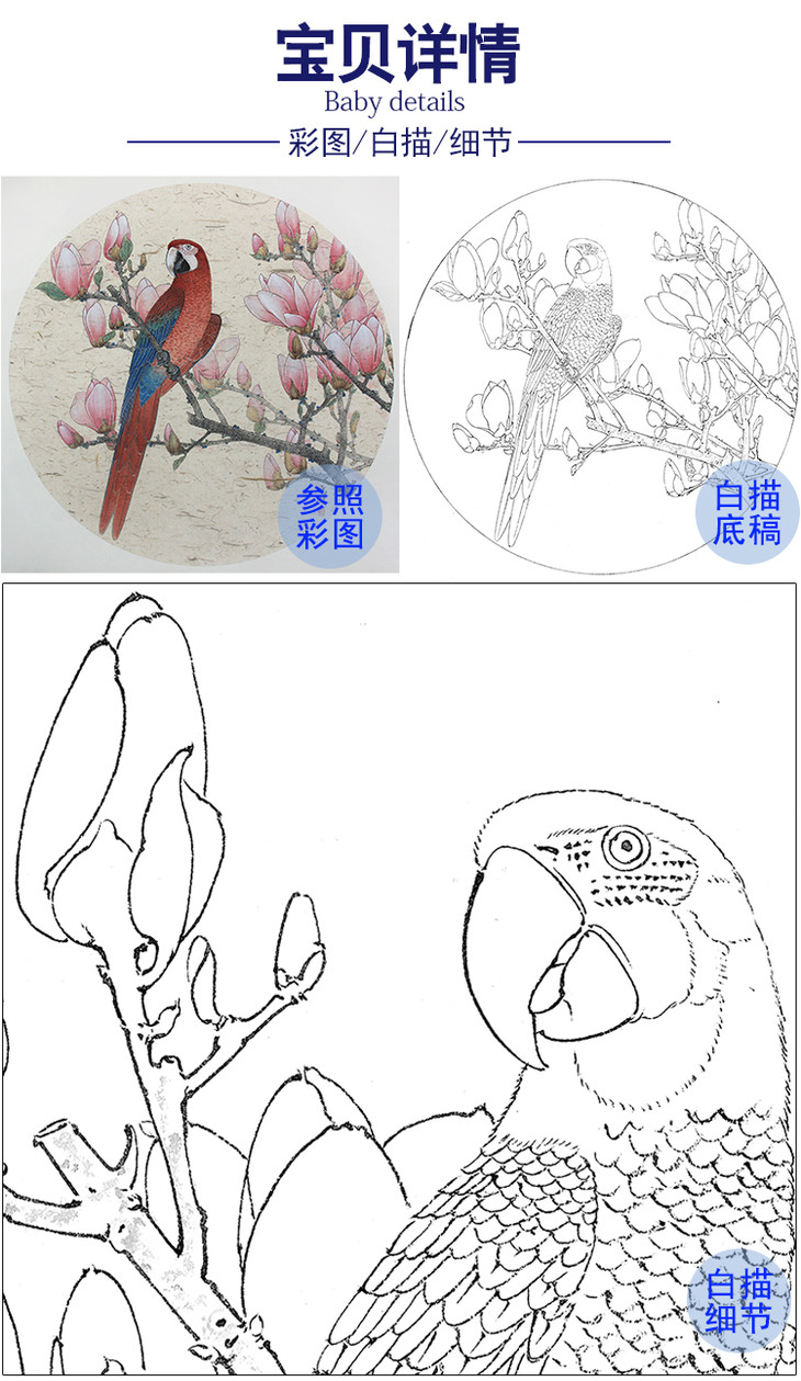 工筆畫白描底稿盤虎傑圓形花鳥小品玉蘭鸚鵡hj04