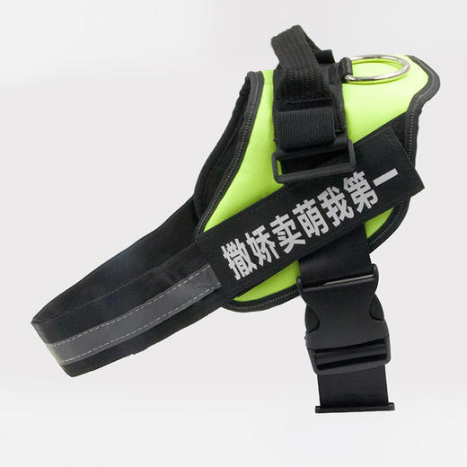 玲宠狗狗牵引绳小型犬泰迪遛狗绳中大型犬胸背带狗链宠物用品 商品图2