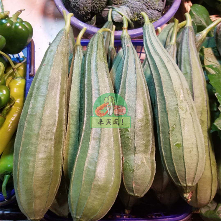 角瓜（八角丝瓜）