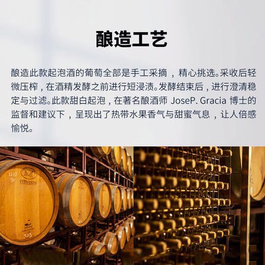 爱慕甜红起泡葡萄酒 西班牙原瓶 商品图2