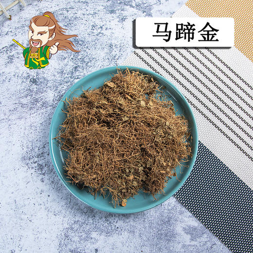 中药材批发 马蹄金 贵州1000克/500克 商品图0