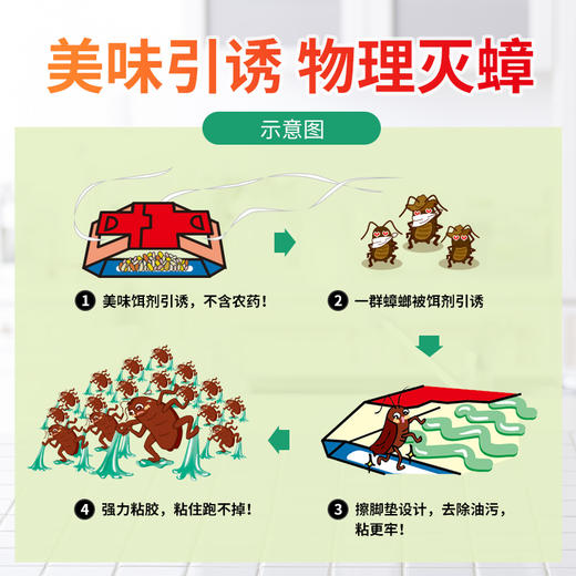 日本安速蟑螂屋5片 小强恢恢蟑螂捕捉器蟑螂药无毒克星家用全窝端 商品图2