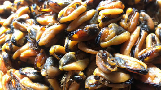 淡菜干 商品图1