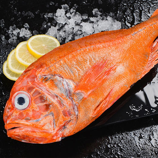 新西兰长寿鱼300500g