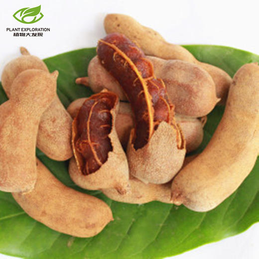 云南大甜角 商品图0