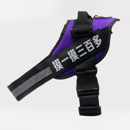 玲宠狗狗牵引绳小型犬泰迪遛狗绳中大型犬胸背带狗链宠物用品 商品图4