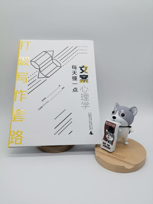 打破写作套路：每天懂一点文案心理学 商品图0