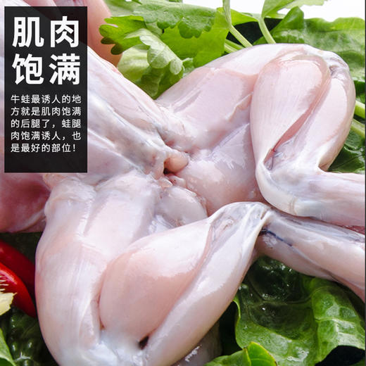 【冻品】去脏牛蛙 1斤2个左右 有一层薄冰 商品图1