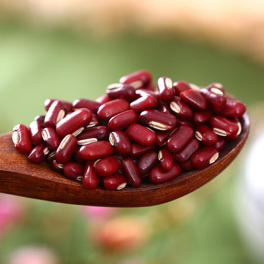  燕之坊 长粒赤小豆420g 广西百色原产 五谷杂粮大豆 可煮赤豆薏米水 煮赤豆粥 商品图2