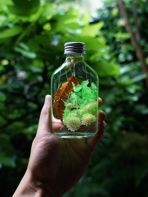 植觉【浮游植物标本】永生花浮游花ins摆件玻璃瓶花创意礼品鲜花