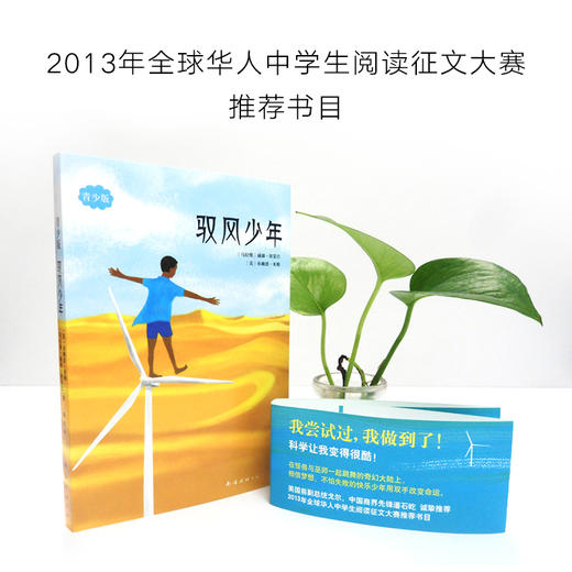 驭风少年:青少版 商品图1