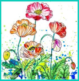 《美丽的虞美人》花朵【自动发货：下单后，点击手机短信中收到的链接，即可获取文件下载的链接；如有任何问题，可添加客服微信hm33268获得帮助】
