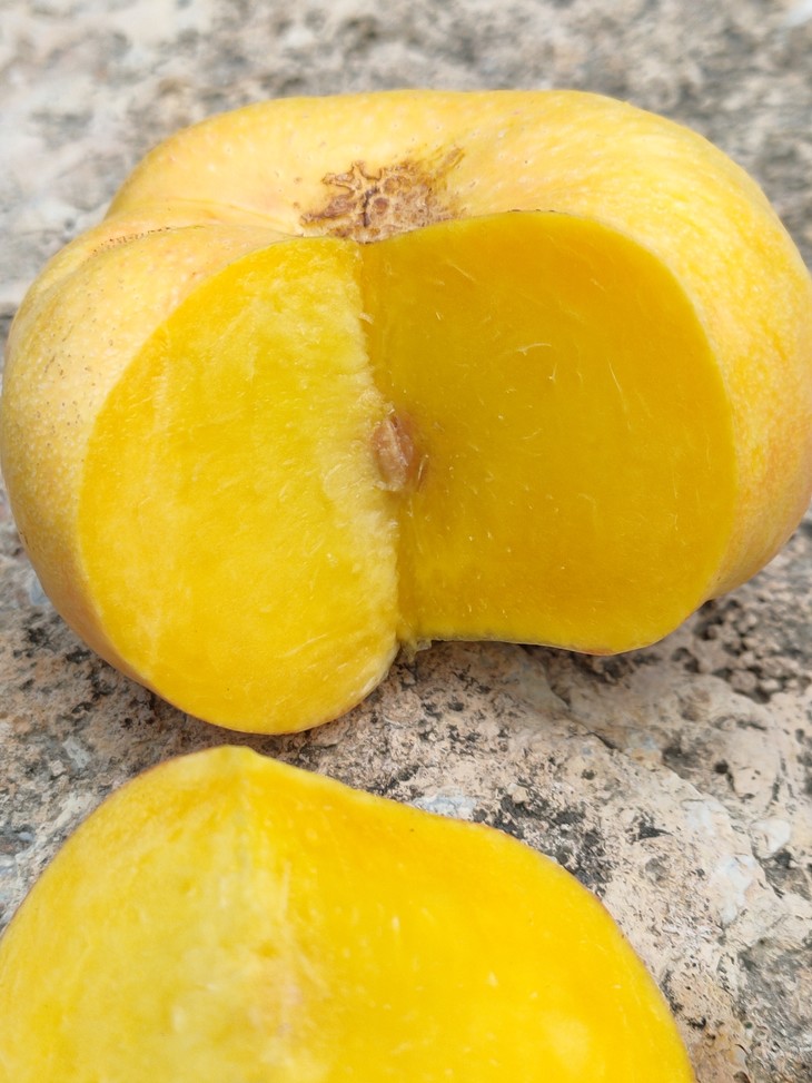 山东蒙阴黄金油蟠桃现摘桃子脆甜可口