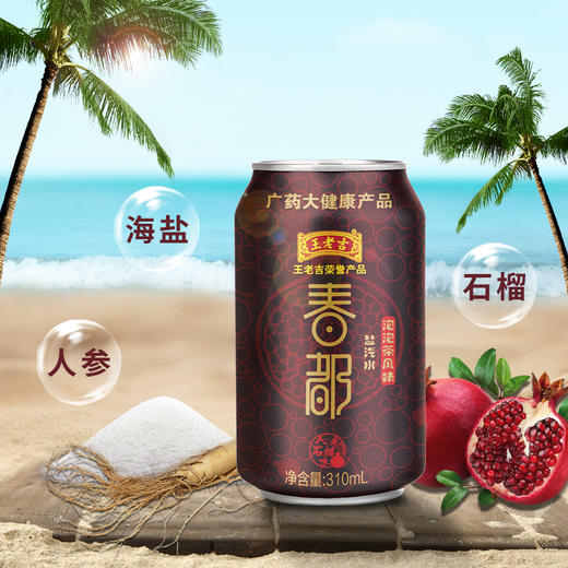 王老吉白云山系列 风味盐汽水310ml*16瓶 商品图3