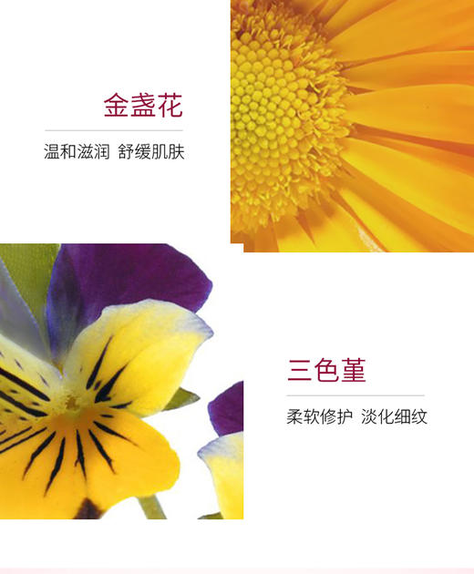 Jurlique/茱莉蔻 护手乳霜-薰衣草 125MLJPY带授权招加盟代理 商品图6