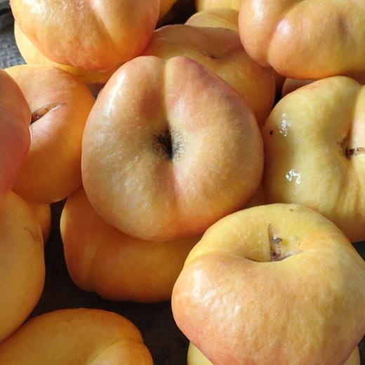 山东蒙阴黄金油蟠桃现摘桃子脆甜可口