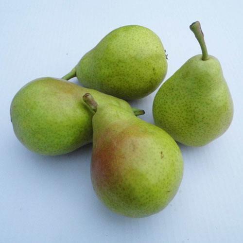 绿茄梨(3斤左右)
