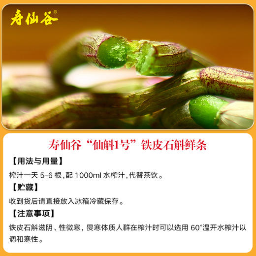 寿仙谷 仙斛1号 铁皮石斛鲜条  产地直销 当天采摘 顺丰配送 商品图2