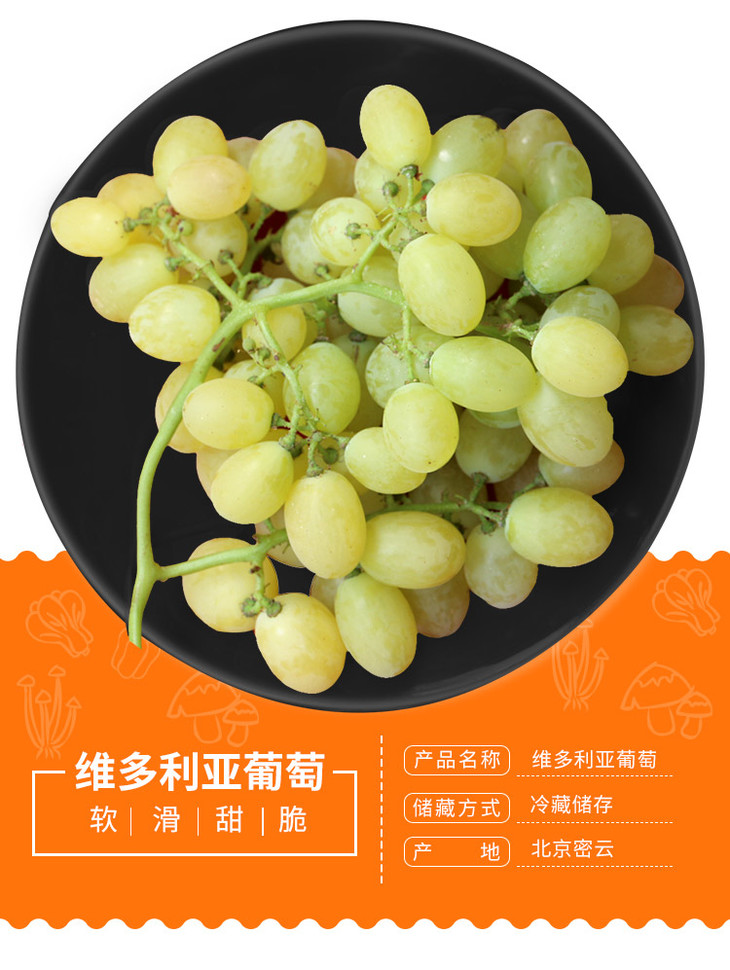 密云当天采摘青提葡萄 脆甜维多利亚葡萄 750g新鲜葡萄