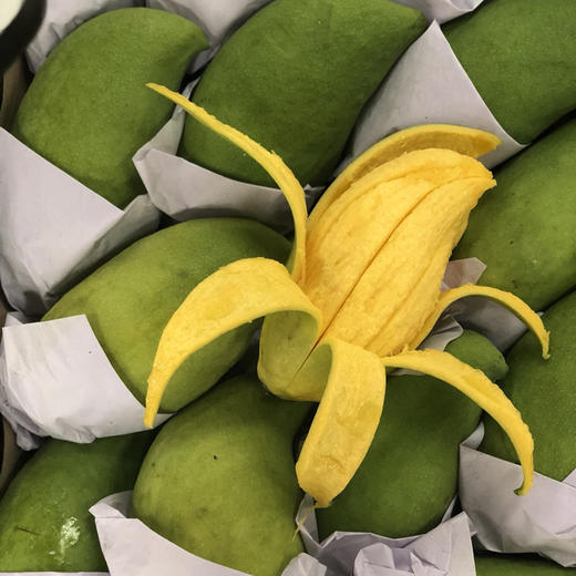 爆款水果丨缅甸进口鹰嘴芒果青芒果 5斤装包邮
