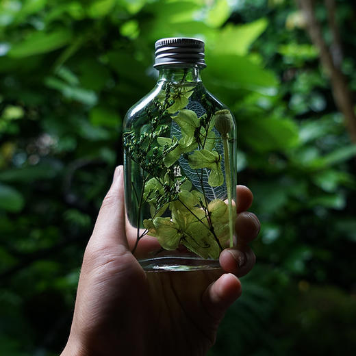 植觉【浮游植物标本】永生花浮游花ins摆件玻璃瓶花创意礼品鲜花