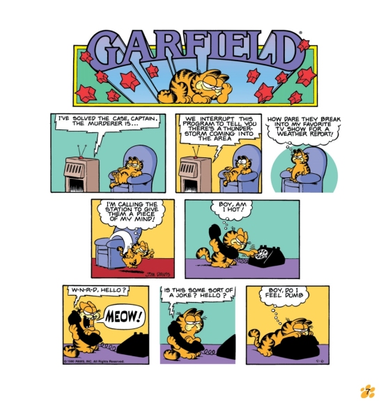 中商原版加菲猫漫画三合一合订本英文garfieldfatcat3pack2jimdavis