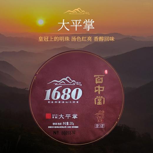 百中堂1680古树熟茶系列 | 2019大平掌（景迈） 商品图0