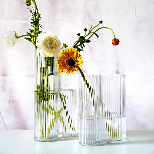 【花瓶】北欧ins透明玻璃花瓶水培客厅插花器现代简约插花摆件 商品图1