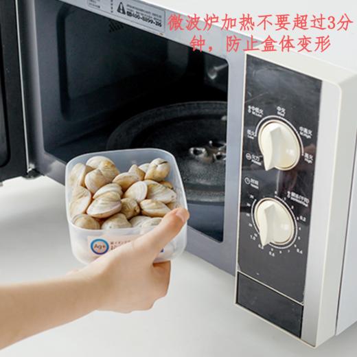 日本进口银离子保鲜盒  冰箱收纳盒冷冻食品级水果密封盒2.46 商品图1