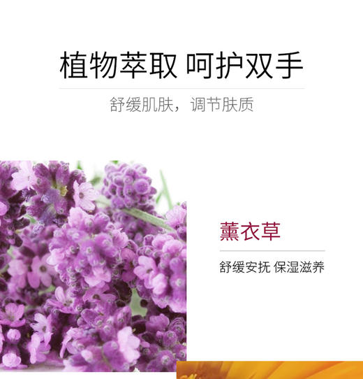 Jurlique/茱莉蔻 护手乳霜-薰衣草 125MLJPY带授权招加盟代理 商品图4