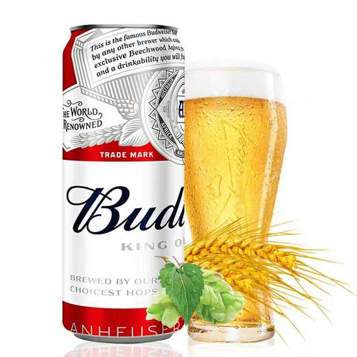 英国进口百威啤酒罐装500mlc