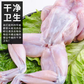【冻品】去脏牛蛙 1斤2个左右 有一层薄冰