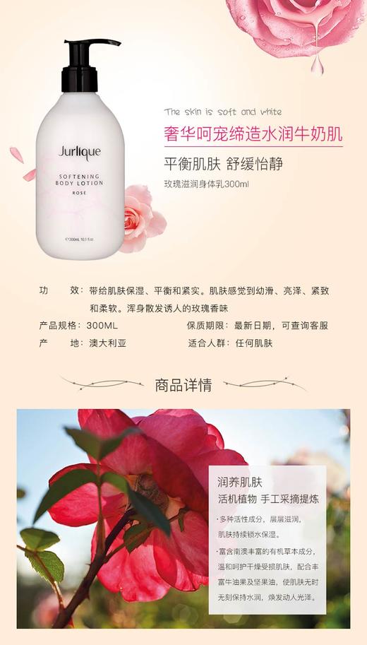 Jurlique/茱莉蔻 玫瑰柔肤身体乳 300MLJPY带授权招加盟代理 商品图1