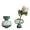 【花瓶】北欧透明水培花瓶简约绿玻璃插花器客厅极光瓶摆件 商品缩略图2